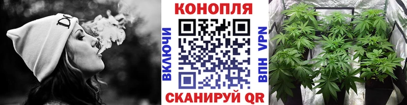 Наркошоп купить А ПВП  Канабис  Мефедрон  Псилоцибиновые грибы  ГАШ  Кочубеевское