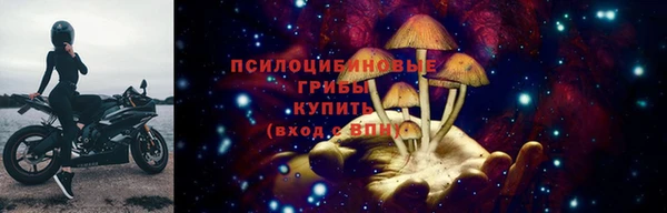 стаф Горно-Алтайск