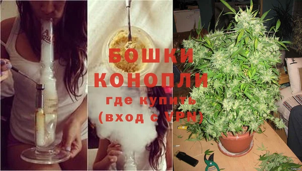 дистиллят марихуана Горняк