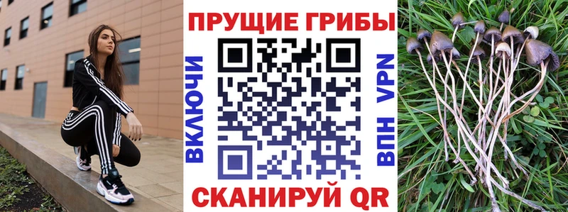 Псилоцибиновые грибы Magic Shrooms  Купить  Кочубеевское 